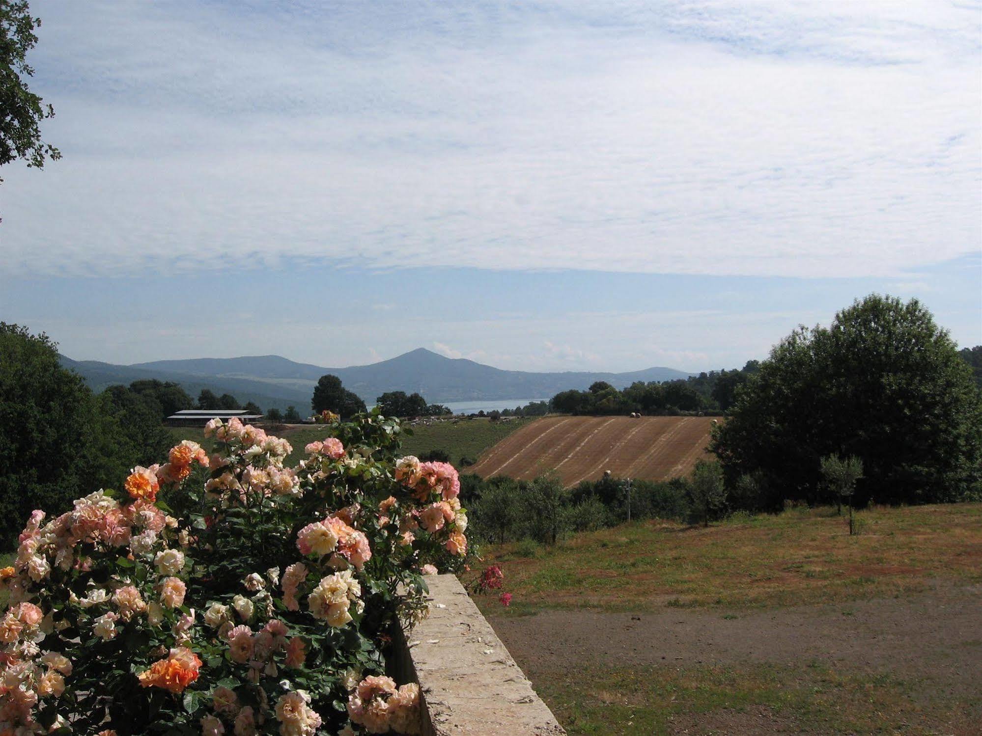 Agriturismo La Gismonda Bracciano  Extérieur photo